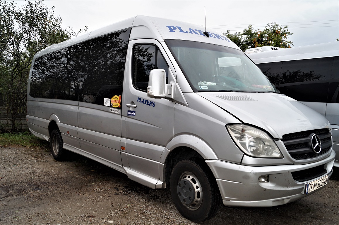 The bus